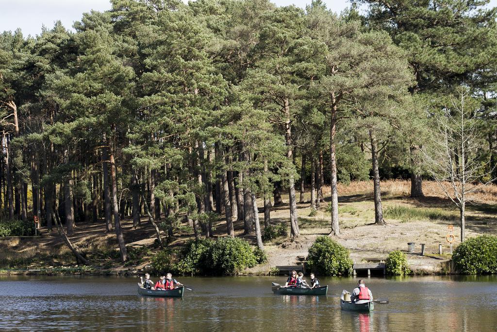 Willa Avon Tyrrell Outdoor Activity Centre Bransgore Zewnętrze zdjęcie